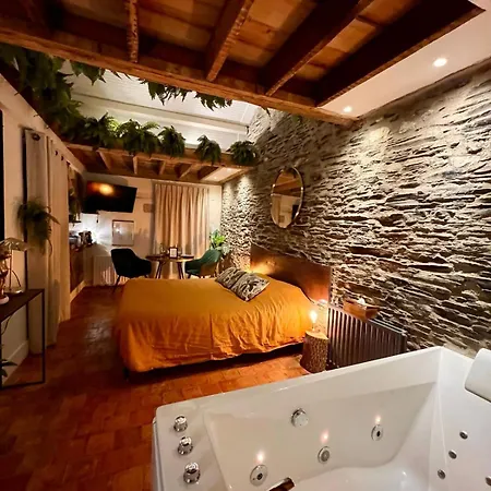 Jungle - Les Petits Plaisirs Apartment Angers