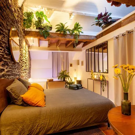 Apartment Jungle - Les Petits Plaisirs Angers