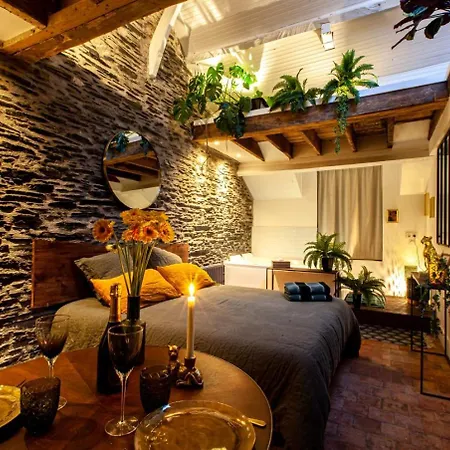 Jungle - Les Petits Plaisirs Lejlighed