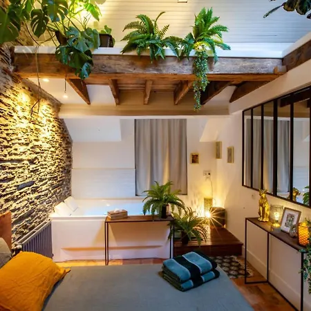 Apartment Jungle - Les Petits Plaisirs Angers