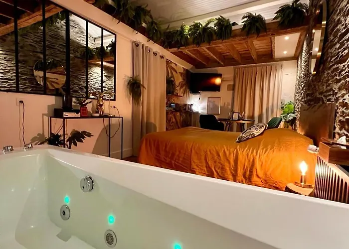 Jungle - Les Petits Plaisirs Ανζέρ