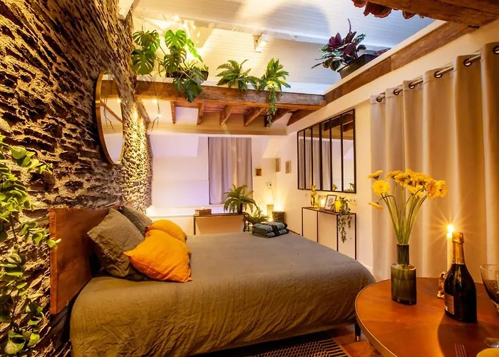 Apartamento Jungle - Les Petits Plaisirs Angers