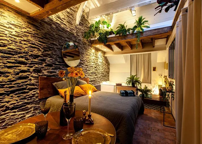 Jungle - Les Petits Plaisirs Apartamento