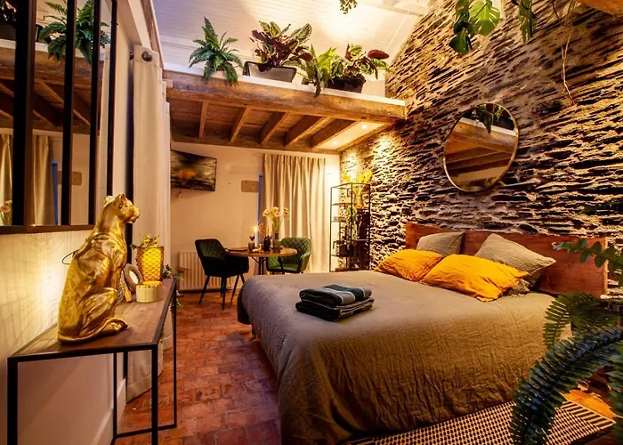 Jungle - Les Petits Plaisirs * Ανζέρ